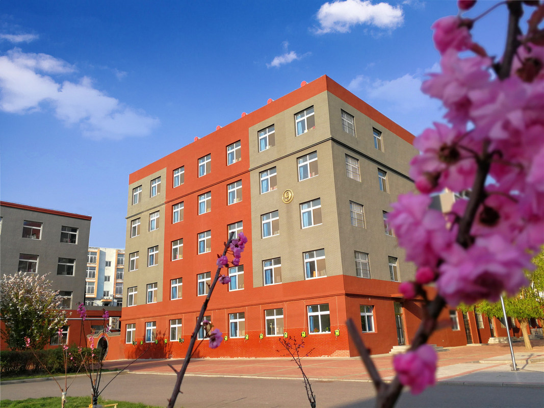 盘锦新兴中学,又称盘锦市新兴逸夫中学,是一所寄宿制封闭管理学校.